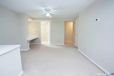 24 Old Mill Drive, Canton, CT 06019 - Photo 34