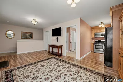 29 Evergreen Terrace, Seymour, CT 06483 - Photo 28