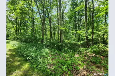 11 Old Paddock Lane, Kent, CT 06757 - Photo 4
