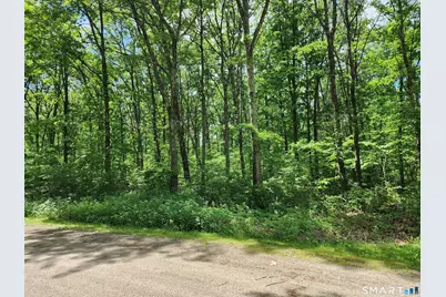 11 Old Paddock Lane, Kent, CT 06757 - Photo 6