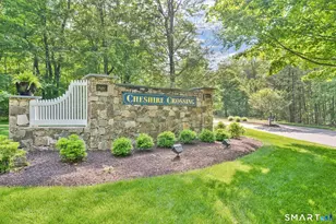 3 Wadsworth Ln, Cheshire, CT 06410 - Photo 38