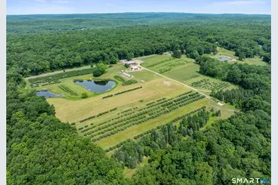 317 Bebbington Road, Ashford, CT 06278 - Photo 6