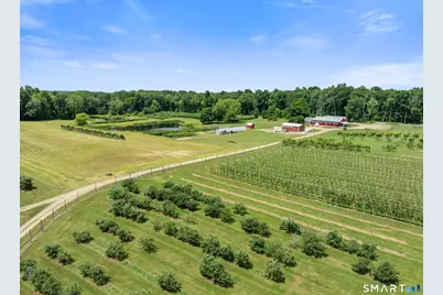 317 Bebbington Road, Ashford, CT 06278 - Photo 8