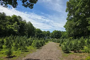 Route 6 Rte, Andover, CT 06232 - Photo 1