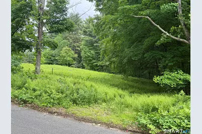 133 Painter Hill Road, Woodbury, CT 06798 - Photo 2