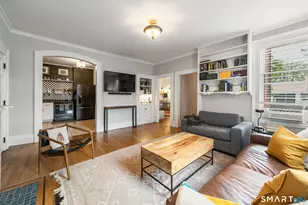 161 Olive St, New Haven, CT 06511 - Photo 8