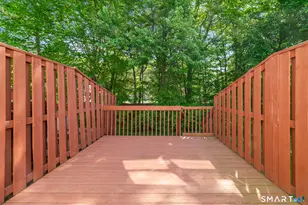 36 Meadowrue Dr, Glastonbury, CT 06033 - Photo 30