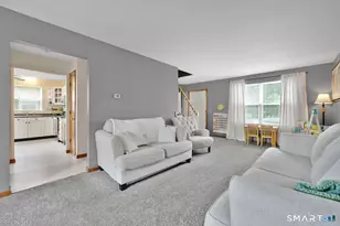 10 Summer St, Enfield, CT 06082 - Photo 22