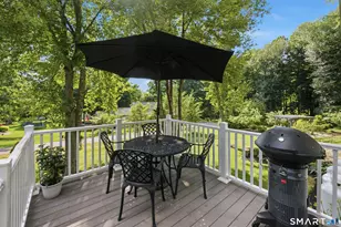 16 Blueberry Hill Rd, Bridgewater, CT 06752 - Photo 40