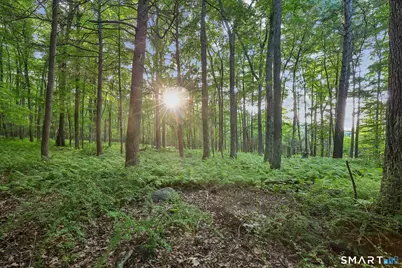37 & 39 Verville Road, Avon, CT 06001 - Photo 8