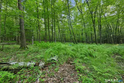 37 & 39 Verville Road, Avon, CT 06001 - Photo 12