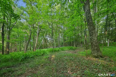 39 Verville Road, Avon, CT 06001 - Photo 14