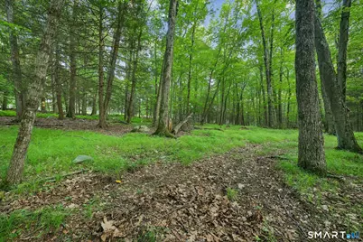 39 Verville Road, Avon, CT 06001 - Photo 16