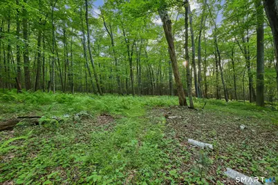 37 Verville Road, Avon, CT 06001 - Photo 14