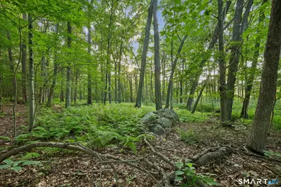 37 Verville Road, Avon, CT 06001 - Photo 6