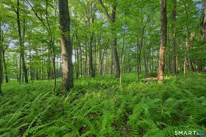 37 Verville Road, Avon, CT 06001 - Photo 10