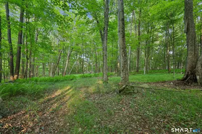 37 Verville Road, Avon, CT 06001 - Photo 12