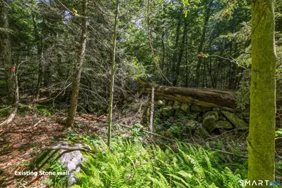Ashley Road #Lot 6, Winchester, CT 06098 - Photo 8