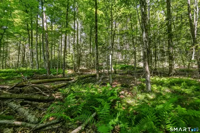 Ashley Road #Lot 6, Winchester, CT 06098 - Photo 6