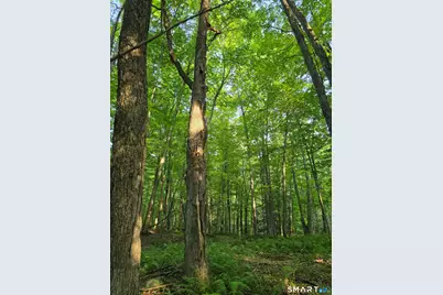 125 & 180 Coop Sawmill Road, Manchester, CT 06040 - Photo 4