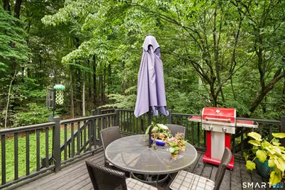 41 Silver Hill Road, Ridgefield, CT 06877 - Photo 34