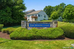 224 Sterling Dr, Newington, CT 06111 - Photo 36