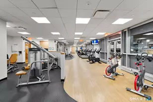 127 Greyrock Pl, Stamford, CT 06901 - Photo 16