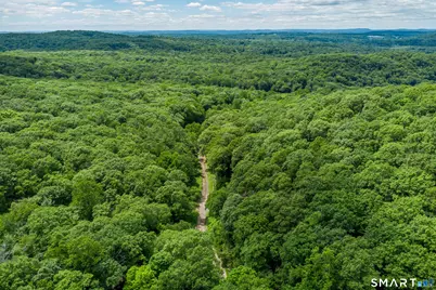 Ives Court, Ridgefield, CT 06877 - Photo 6