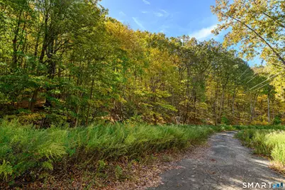 Ives Court, Ridgefield, CT 06877 - Photo 12