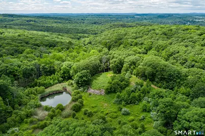 Ives Court, Ridgefield, CT 06877 - Photo 8