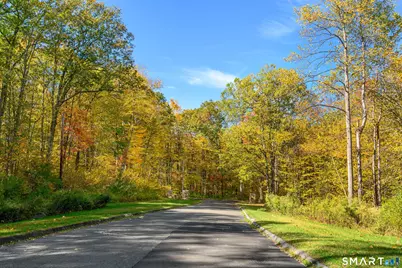 Ives Court, Ridgefield, CT 06877 - Photo 10