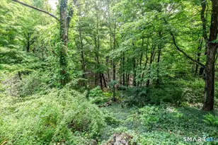 123 Rte 37 S, Sherman, CT 06784 - Photo 32