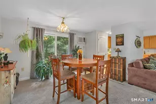 11 Brookside Ct, East Hampton, CT 06424 - Photo 22