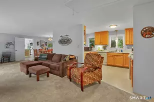 11 Brookside Ct, East Hampton, CT 06424 - Photo 18