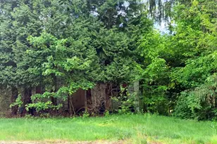 768 Mashamoquet Rd, Pomfret, CT 06259 - Photo 2