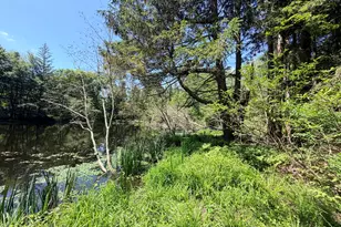 768 Mashamoquet Rd, Pomfret, CT 06259 - Photo 6