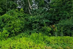 Lot 6 & 6A Mashamoquet Rd, Pomfret, CT 06259 - Photo 1