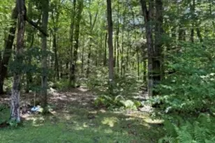 31R Loveland Rd, Granby, CT 06060 - Photo 6