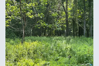 226 Goose Lane, Tolland, CT 06084 - Photo 2