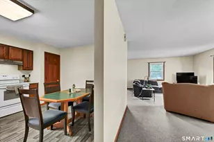 31 Cleveland St, Danbury, CT 06810 - Photo 14
