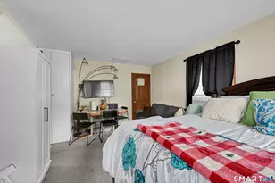 31 Cleveland St, Danbury, CT 06810 - Photo 18