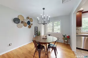 13 Birch Rd, Danbury, CT 06811 - Photo 20