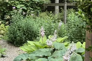 131 Georgetown Rd, Weston, CT 06883 - Photo 36