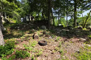 45R Long Pond Rd S, Ledyard, CT 06339 - Photo 18