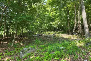 45R Long Pond Rd S, Ledyard, CT 06339 - Photo 38