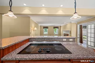 16 Cedar Grove Rd, Southbury, CT 06488 - Photo 14