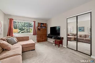 4 Alder Ct, Woodbury, CT 06798 - Photo 14