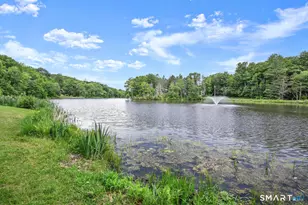 4 Alder Ct, Woodbury, CT 06798 - Photo 34