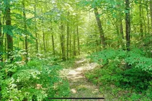 11 Old Stage Coach Rd, Haddam, CT 06441 - Photo 20