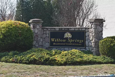 17 Willow Springs #17, New Milford, CT 06776 - Photo 18